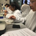 Genetics workshop experiment