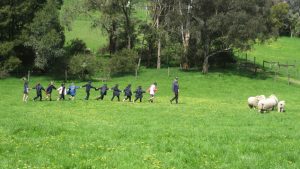 Year 2 farm visit