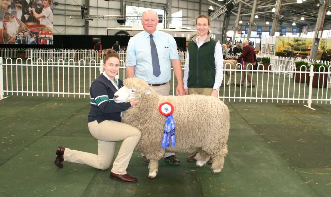 Achievement winning sheep